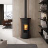 Edilkamin Pelletofen Cherie 9 Evo Air Tight C (RLU) Stahl bronze